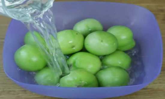 zelenye pomidory 1