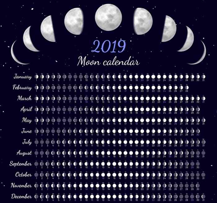 Лунный посевной календарь 2019 года садовода и огородника